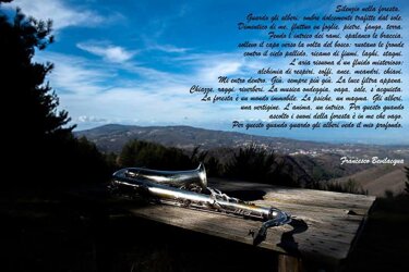 img-20251002-wa0050.jpeg img-20251002-wa0050.jpeg