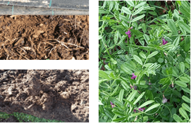 129fa409553b57c96666c6e2dd30d86c22c69e85