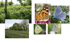 ca8ce551ae3eedf855268bacb833223c6a74c941