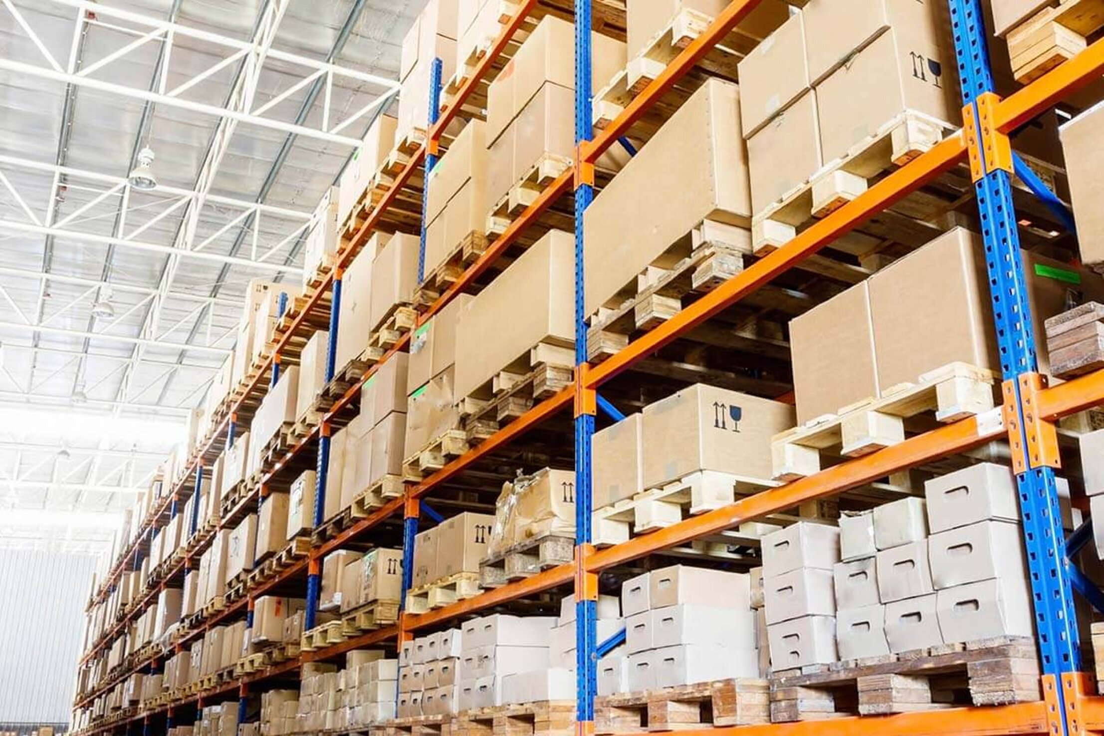 immagine whatsapp 2025-08-07 ore 16.45.56_05f07b7c.jpeg immagine whatsapp 2025-08-07 ore 16.45.56_05f07b7c.jpeg