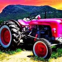 TRATTORE ROSA Landini unico al mondo come punto di riferimento in Valsesia
