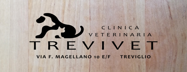 18655951a2f8512106c99508f72f2064d84bd491