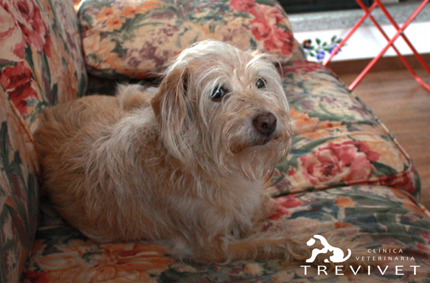 74e415e008afe7b4d076e989efb35da4b4e1e30d