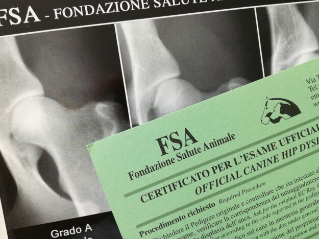 810f8a31658d7571ab9cd524f01cd3e59e36ab92