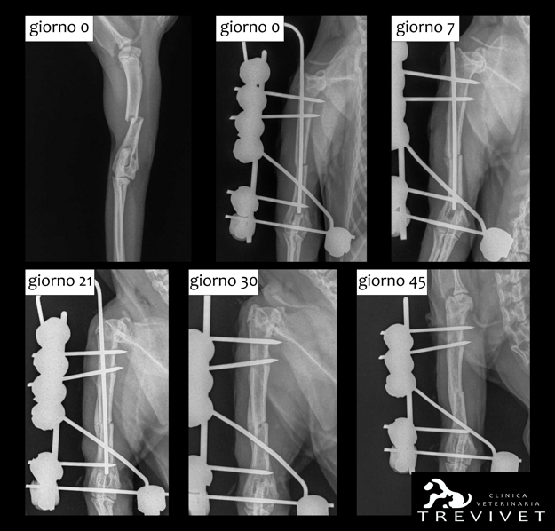 8555279ba952ebf32cf2507cf615e1700d3fa337