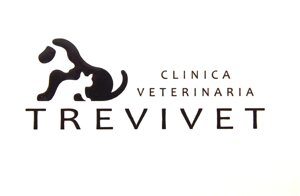 8d61601b0e39d9eb2b9239ec85cab36f2b5cc971