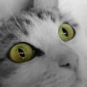 b6fde71ffb94fa9dc4410da42ad6663a92b20701