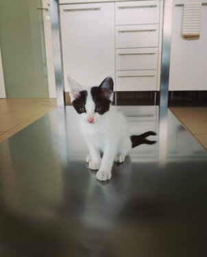 c7875c6ea9ec8d0670a54772b04e185c40296605