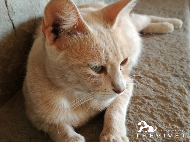 d231406b8bd57abb276932982467e20fb7014b2b