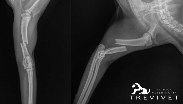 e951743b5619146b8e5ebae8bd8a9942e39fc520