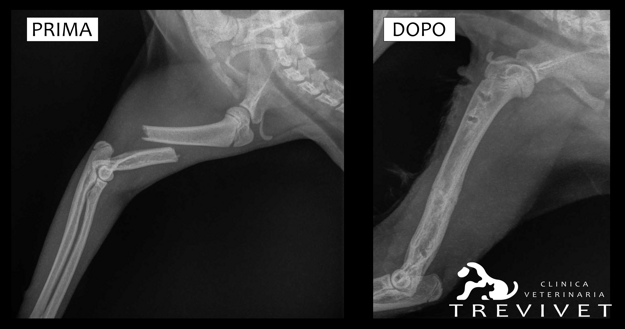 f8878a5cae38b630a345413ea7a010bc0afce952