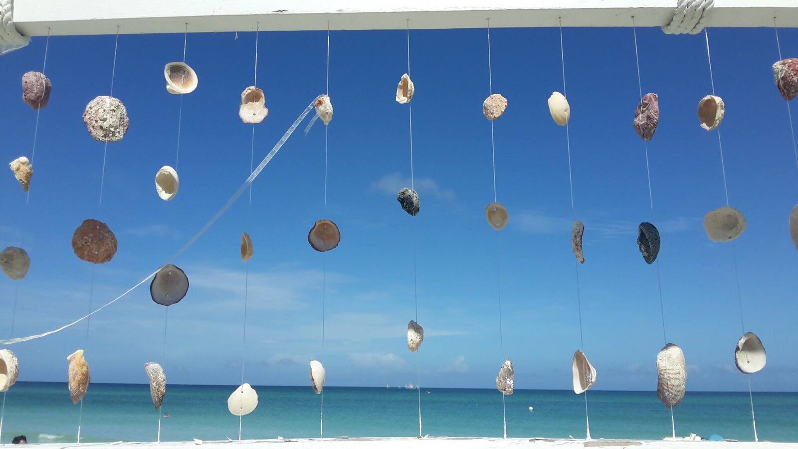 b266e54e298258bff100747f4b583a60cb9ef254 b266e54e298258bff100747f4b583a60cb9ef254