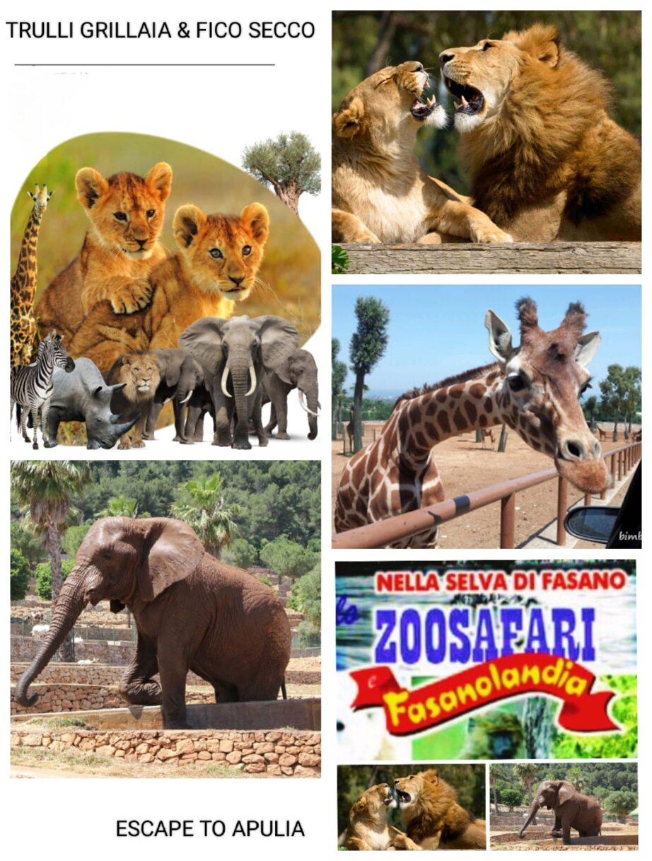 f0029b298d0dc8b0325208465916a4e72e2e36a3 f0029b298d0dc8b0325208465916a4e72e2e36a3