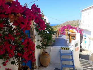 1d847b543a0c8175188e3d7b28a942e71e7a56c5