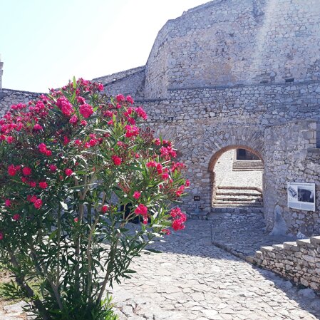 Nafplio fortezza Palamidi