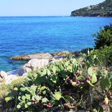 Zante Marathonissi