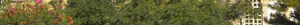 imgi_146_3d230638-e287-4656-8819-f1d93be59555
