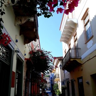 Nafplio Bouganville