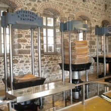 museo olio lesbo