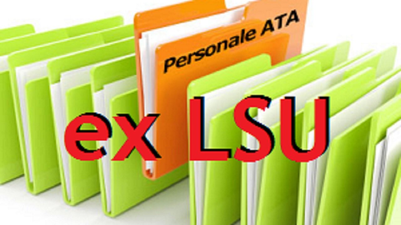 Collaboratori scolastici (EX LSU): Istanze per l’inserimento nella graduatoria nazionale. Collaboratori scolastici (EX LSU): Istanze per l’inserimento nella graduatoria nazionale.