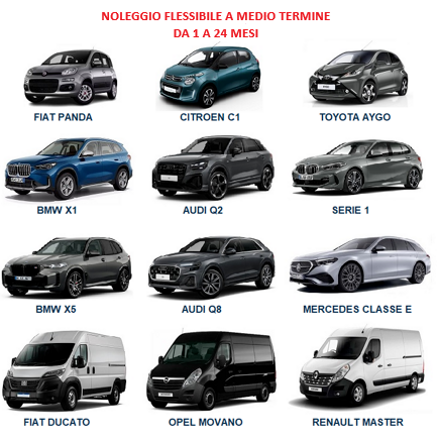 immagine 2025-11-24 160043