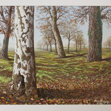 La Corteccia acrilico su tela