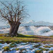 Timida neve nelle campagne Filottranesi acrilico ed olio su tela 50x70