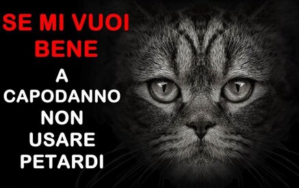 147574d14f5d191a382bc55e5ae78d360553c3ff