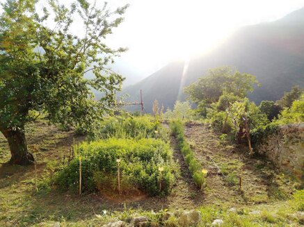 41f4186b63d9c1e9c546a336e539bb6a3d64cac5