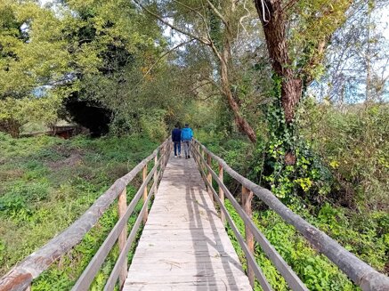 a79a53d2bd14f7d875627ce9f61b09f619d2e71d