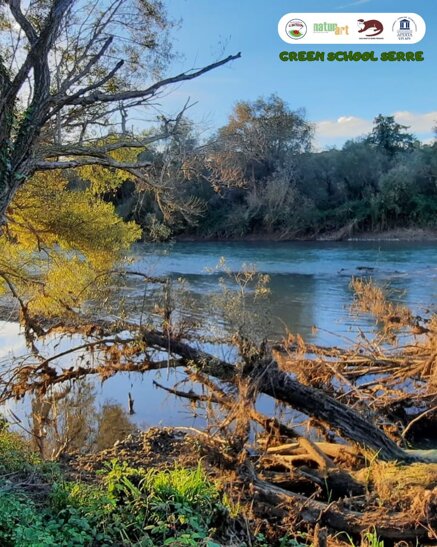 b966767424dacf469f12695df9f357890053196f