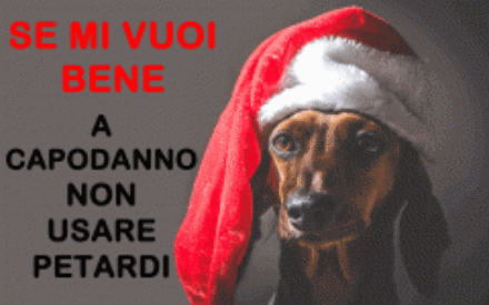 bf2b497dceadf513003352d94629215ec6fa3305