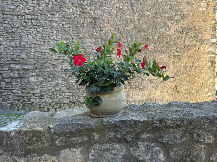 e3415da23d01a87a4e99b69a5d00c7d87c8f0a28