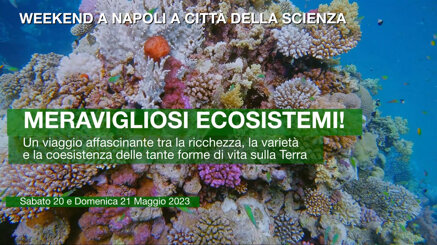 e40c3585dad4bcfb3dc6c6ce40ee933cd8df9e55