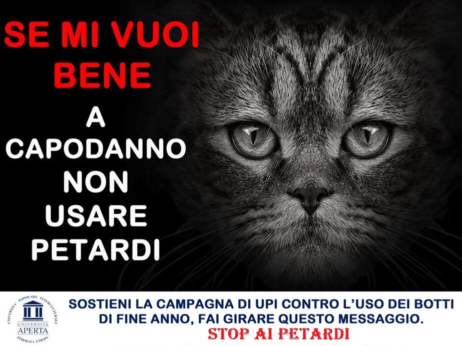 eccfd1e5b8875b7e12ac7b52a3887b27bc450686