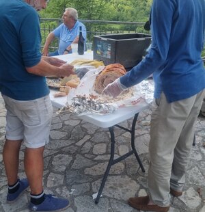 20250824_121133.jpeg