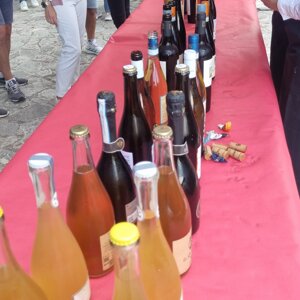 img-20250902-wa0048.jpeg