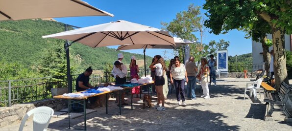 e05acbc6941fbf5380ba93fa132b20ea200a0e16