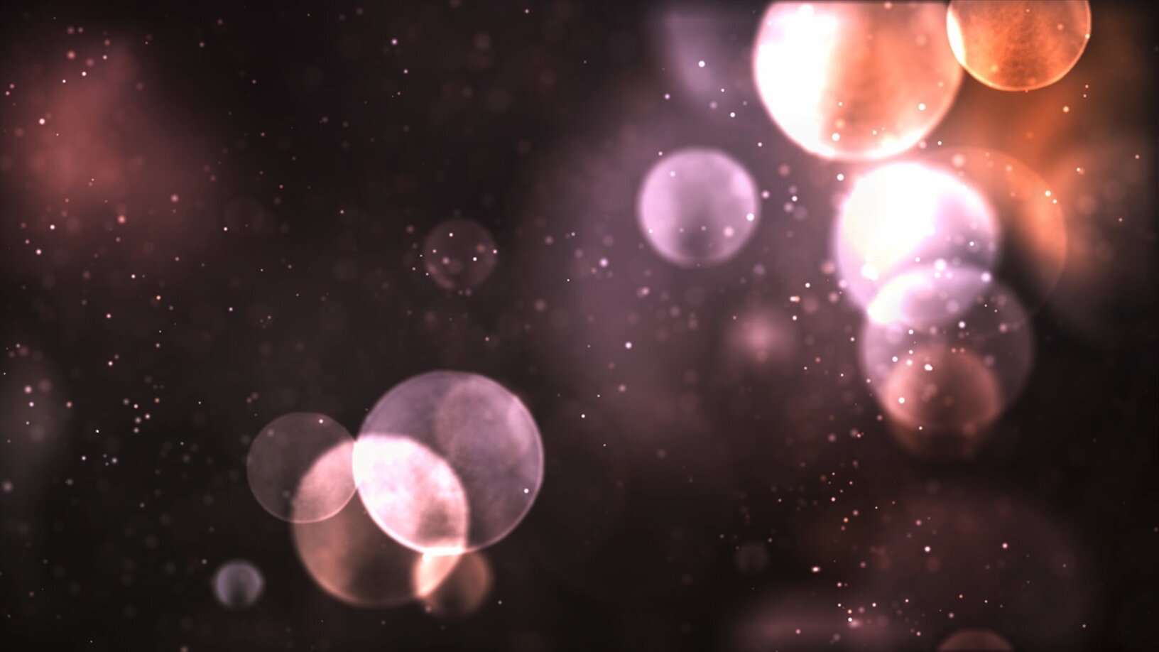 e4649d48ee29a7d7b0dcdae9194dd8b1d89dd003