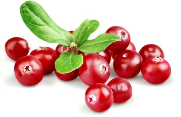 La caruncola uretrale, quella piccola pallina di cui le donne non vogliono parlare La caruncola uretrale, quella piccola pallina di cui le donne non vogliono parlare