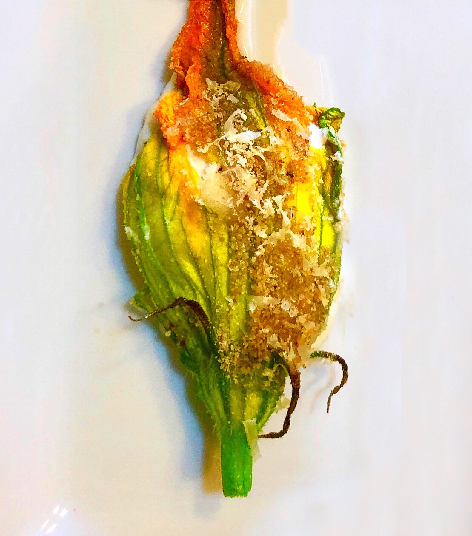 Fiore di Zucca 2.0