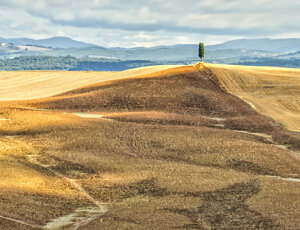 2e5385ee2ef1f809a4e6ae2c707085372158c744