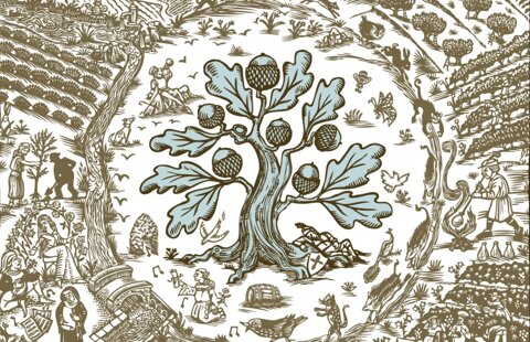 1ccb0093daabb18fcaa3d9266b79e39c43424ac6