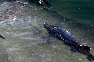 img_3922.jpeg