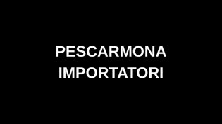 titolo - 2.jpeg