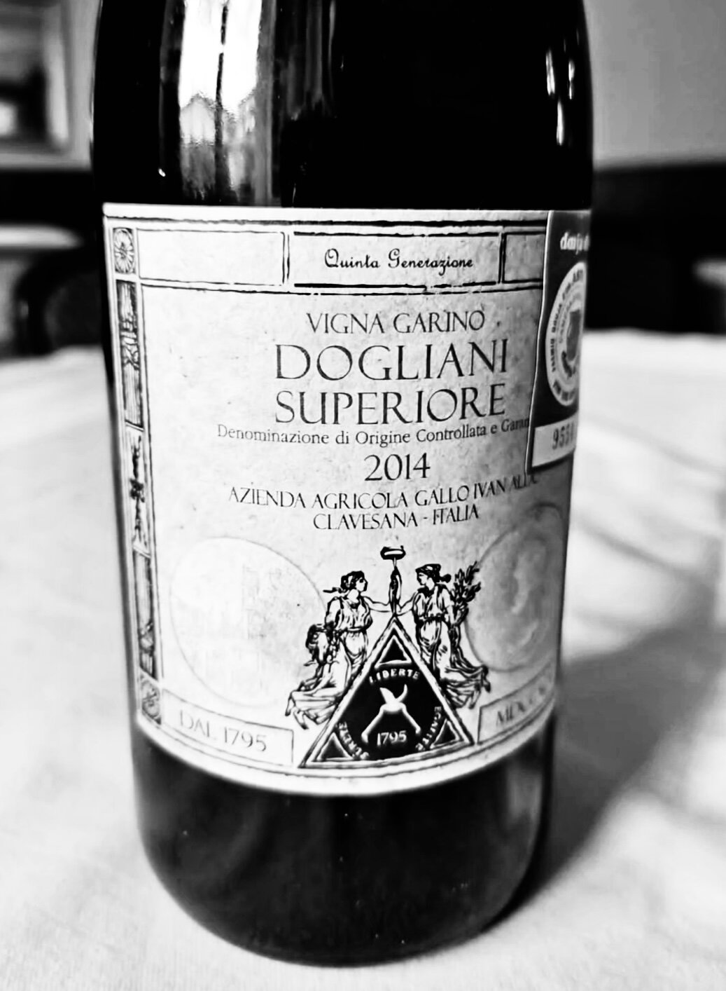 Vigna Garino 2014, Ivan Aldo Gallo