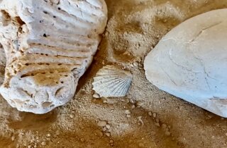 img_4980.jpeg