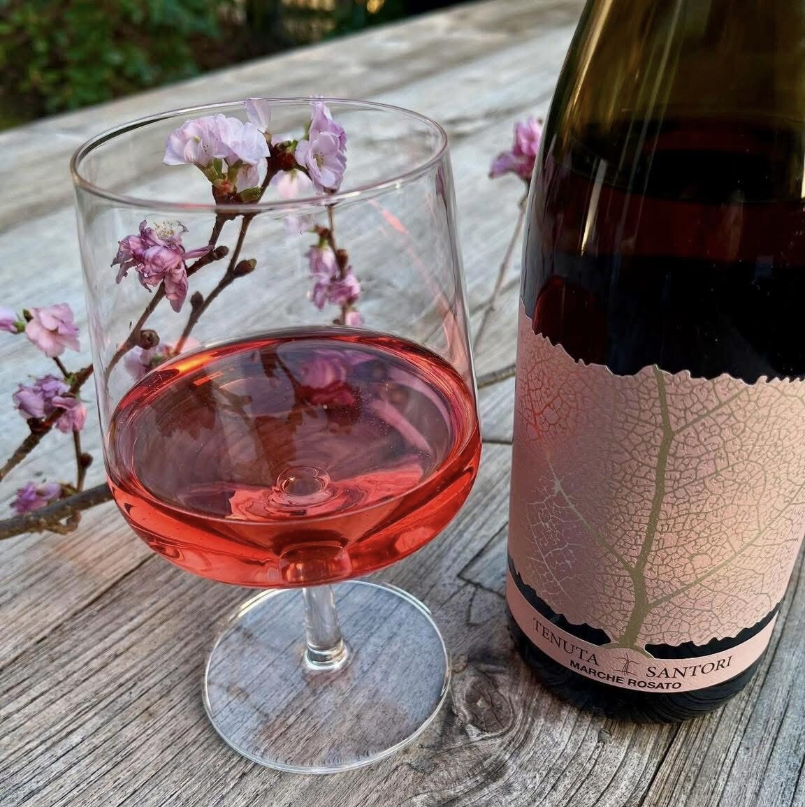 Il Rosato 2024, Tenuta Santori