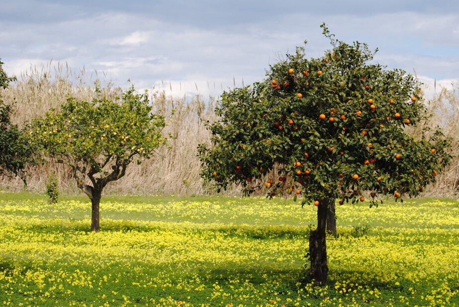 265ab3080ba6adc5427d41eeeac9ca72f9c5b88b 265ab3080ba6adc5427d41eeeac9ca72f9c5b88b