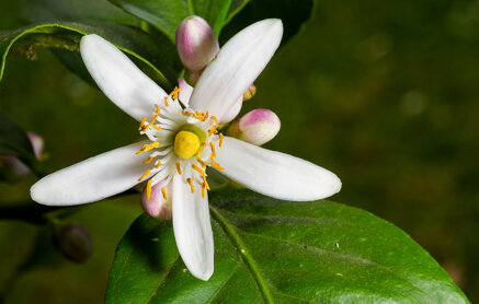 d047a242cec6cde0bf4c3aa1da2d91f1ccfeaffb d047a242cec6cde0bf4c3aa1da2d91f1ccfeaffb